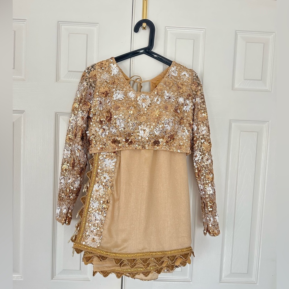 Silk saree with seqin blouse set - Picture 2 of 11